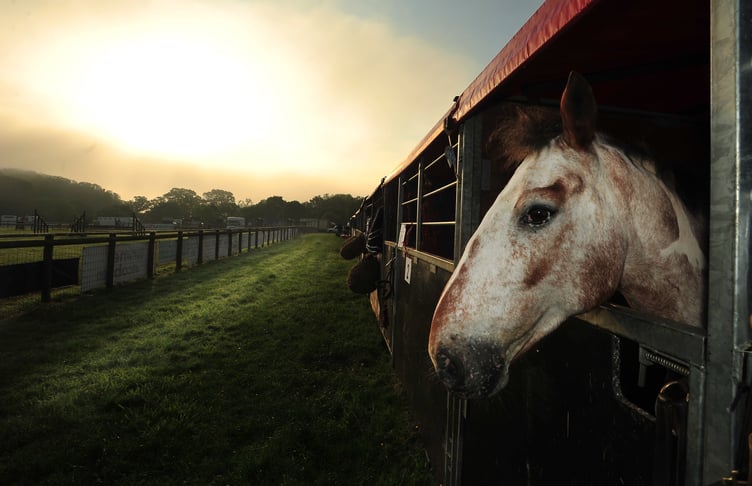 Devon County Show. Picture: Steve Pope