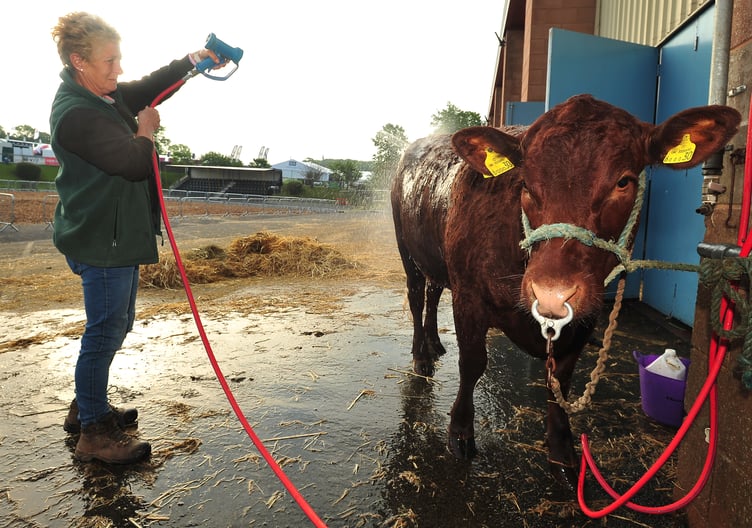 Devon County Show 2023. Picture Steve Pope
