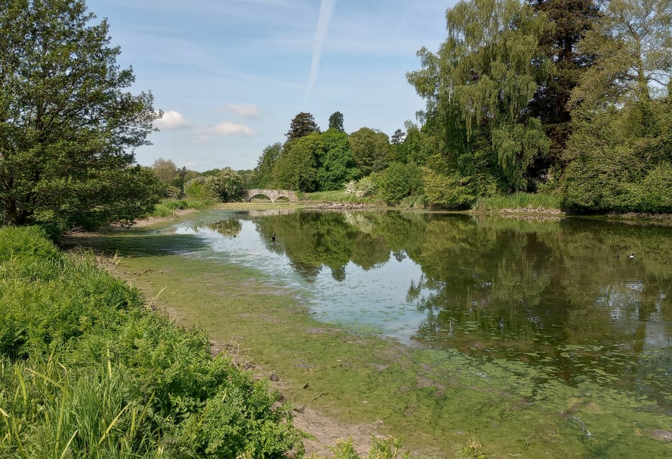 <p>Waverley Abbey's drained lake</p>