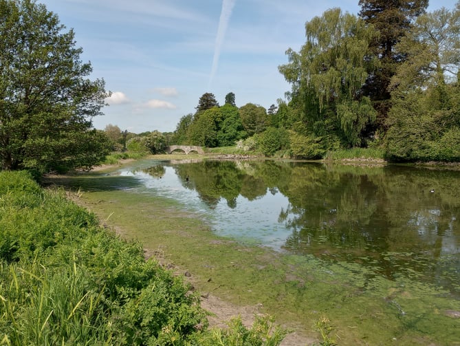 Waverley Abbey's drained lake