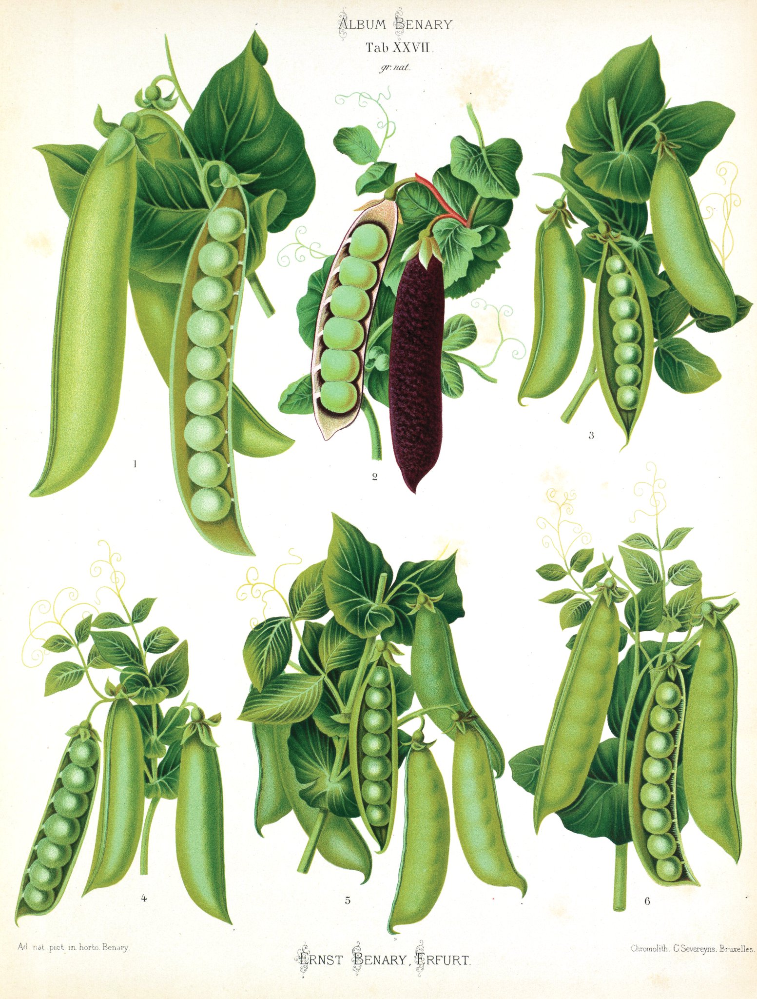 Gallery image 2