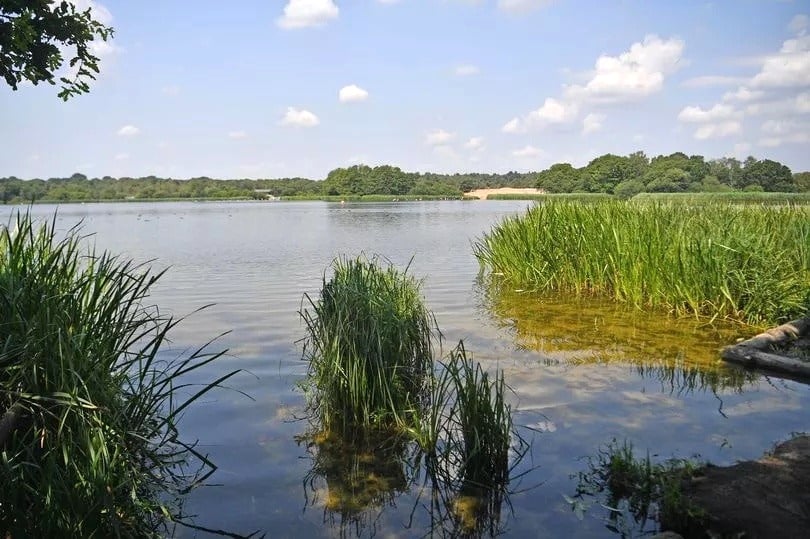 <p>Waverley Borough Council has banned swimming at Frensham Great Pond.</p>