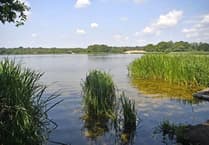 Frensham Pond closed: Algae Alert