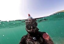 Photographer uses decoy to get up close to Skomer's puffins