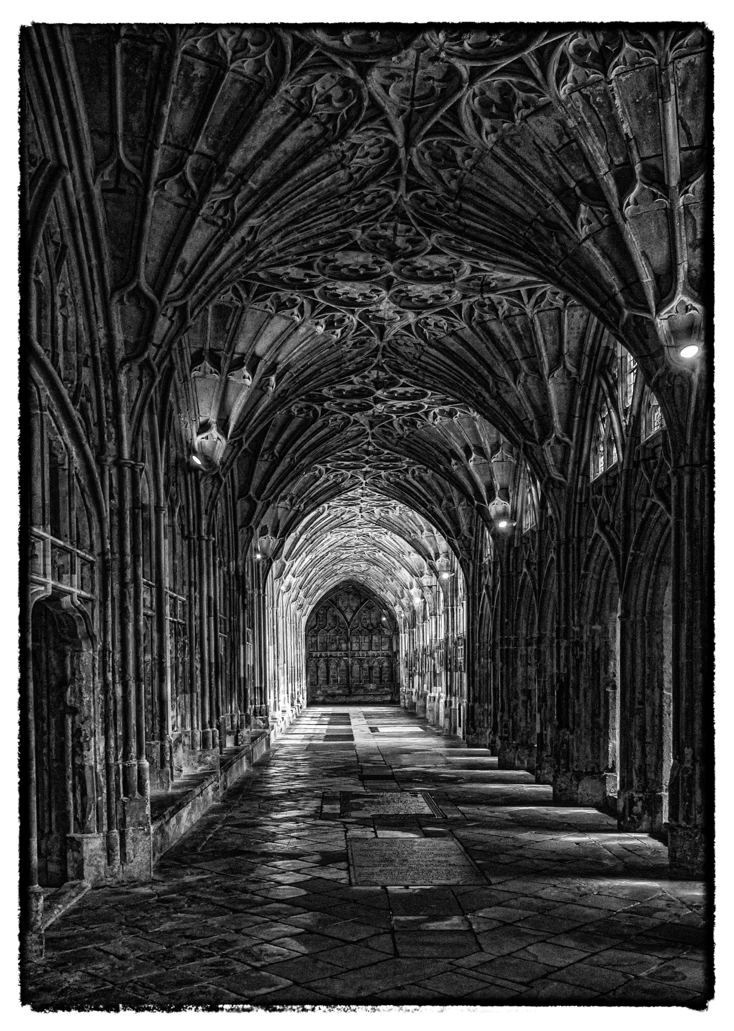 Mellow Yellow by David Salter, winner of the A3 colour print competition