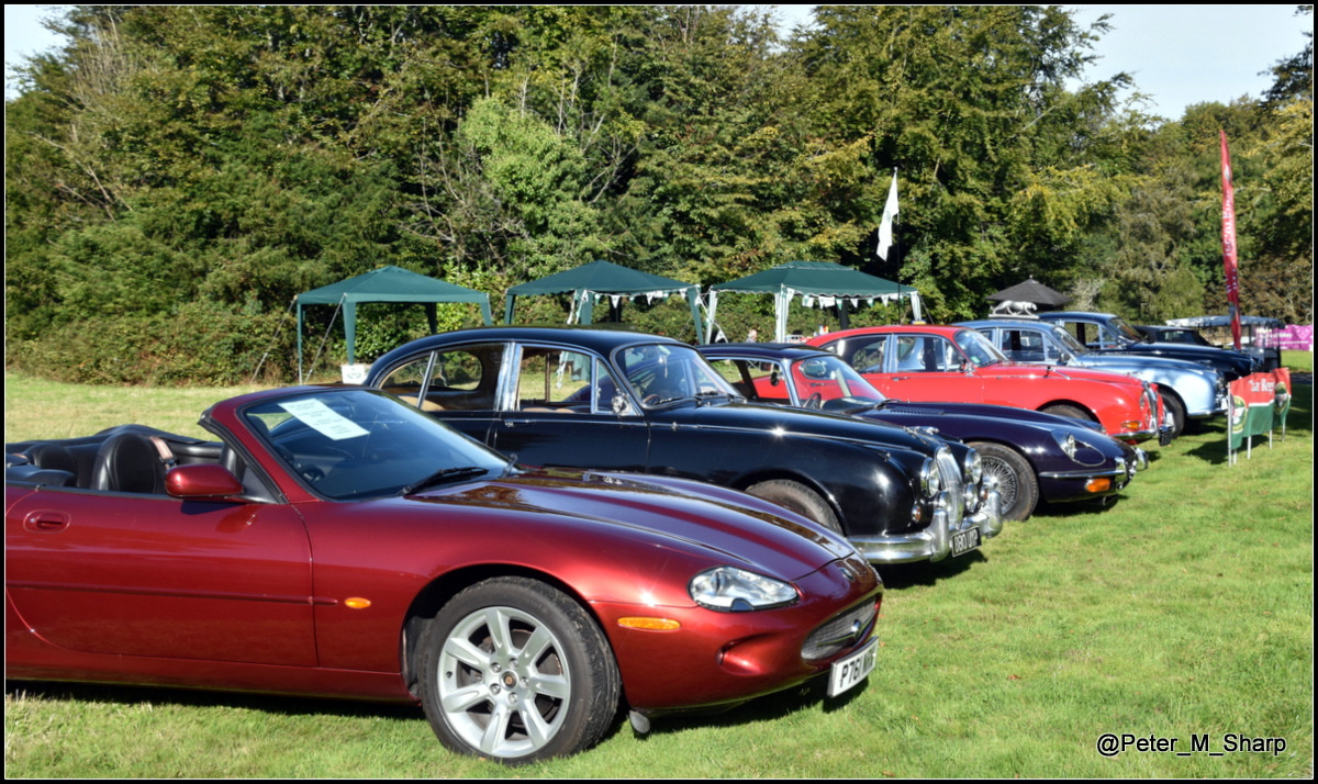 A bumper Jaguar and Lotus line up