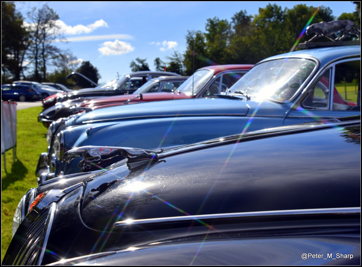 A bumper Jaguar and Lotus line up