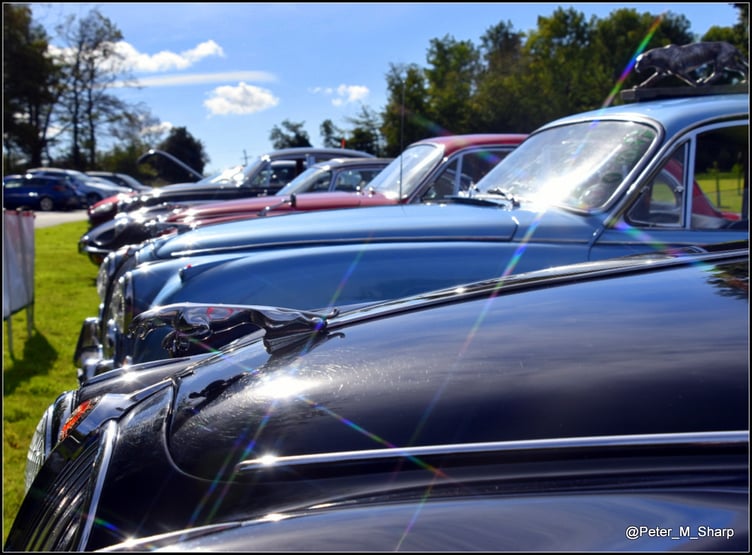 A bumper Jaguar and Lotus line up