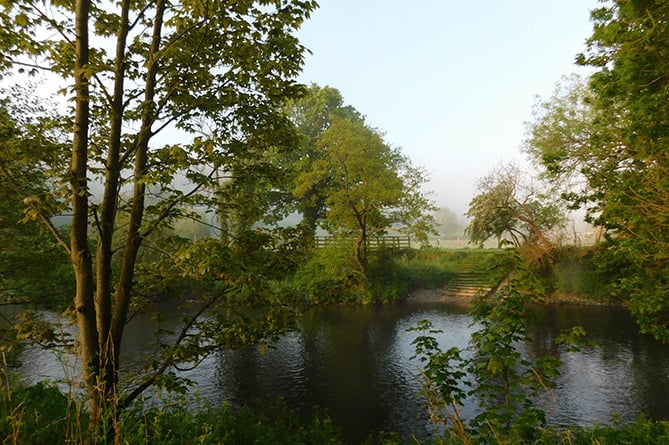 On the banks of the Teifi in Llandysul, taken by Robert Winter