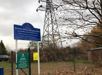 <p>SSE offered to remove the pylons from the grounds of Waverley Abbey School free of charge six years ago – but has now withdrawn its offer</p>