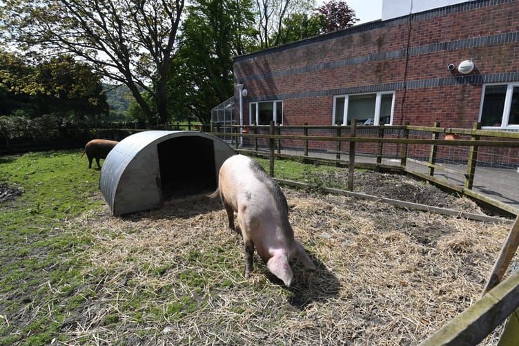 The Ramsey Grammar School farm -