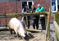 Why RGS students are so lucky to have a farm