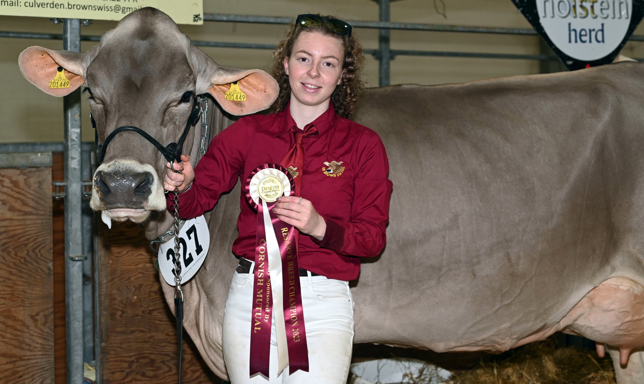 Shannon Ley of Holsworthy takes the Reserve Breed Champion with her Brown Swiss Calverton Nutmeg