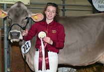 Three days of sunshine for Devon County Show 