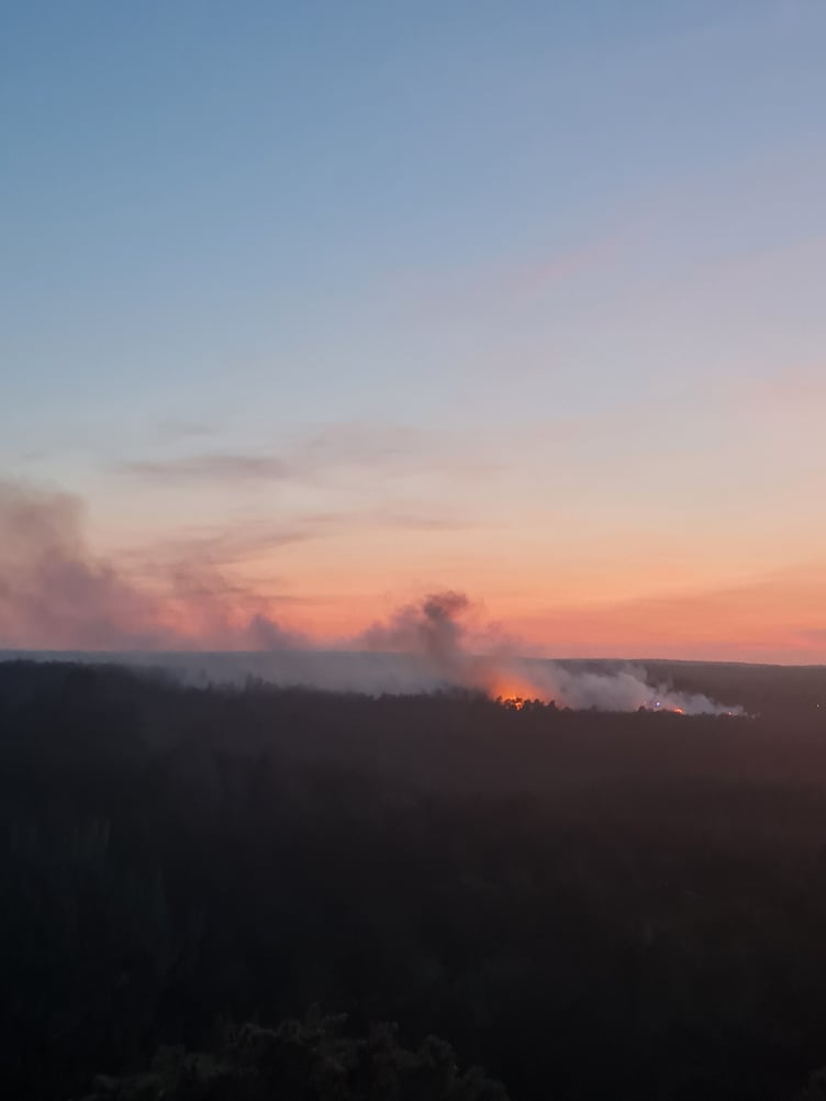 A wildfire broke out at Frensham Common on the evening of Monday, May 29