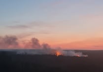 Firefighters still tackling heathland wildfire at Frensham Common