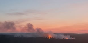 Firefighters still tackling heathland wildfire at Frensham Common
