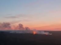 Firefighters still tackling heathland wildfire at Frensham Common