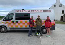 Rescue dog Obi passes his test