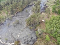 <p>Around 25 acres of heathland was destroyed in this week's wildfire at Frensham Common</p>
