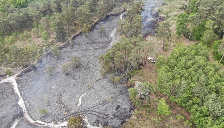 <p>Around 25 acres of heathland was destroyed in this week's wildfire at Frensham Common</p>