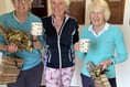 Gray wins King Charles III 18-hole trophy at Petersfield Golf Club
