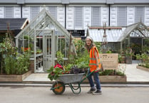 Petersfield greenhouse company Alitex wins Chelsea Flower Show award