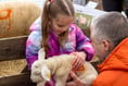 Meon Valley farm shop’s lamb day returns after Covid