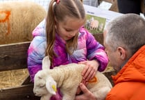 Meon Valley farm shop’s lamb day returns after Covid
