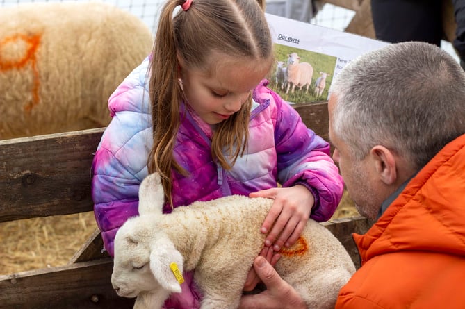 More than 4,000 visitors pitched up at a Meon Valley farm shop to enjoy its lambing event
