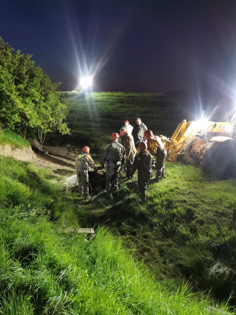 The teams worked by floodlight to get the cow back to the safety of the field