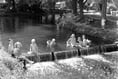 Do you remember the pool created by the old weir in Gostrey Meadow?