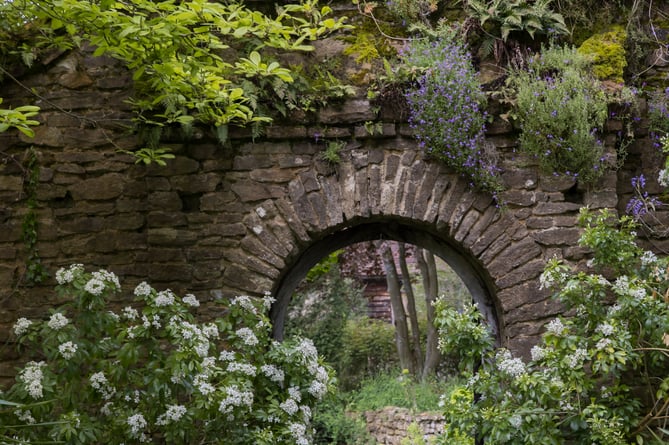 View through into the Summer Garden from the herbaceous border