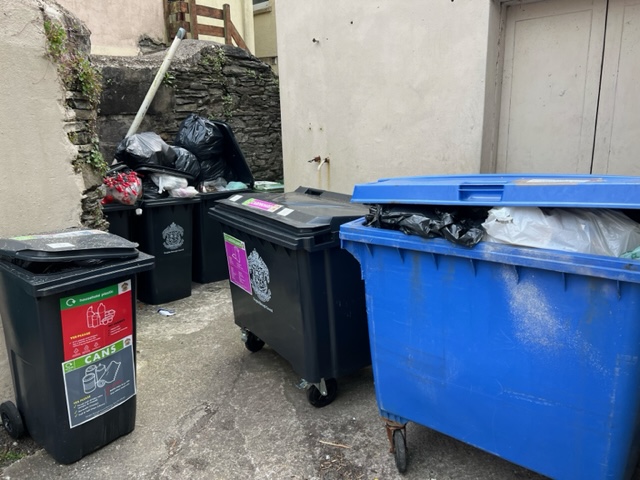 Overflowing bins that led man to protest