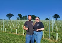 GALLERY: vineyard based in Raglan celebrates Welsh Wine Week 