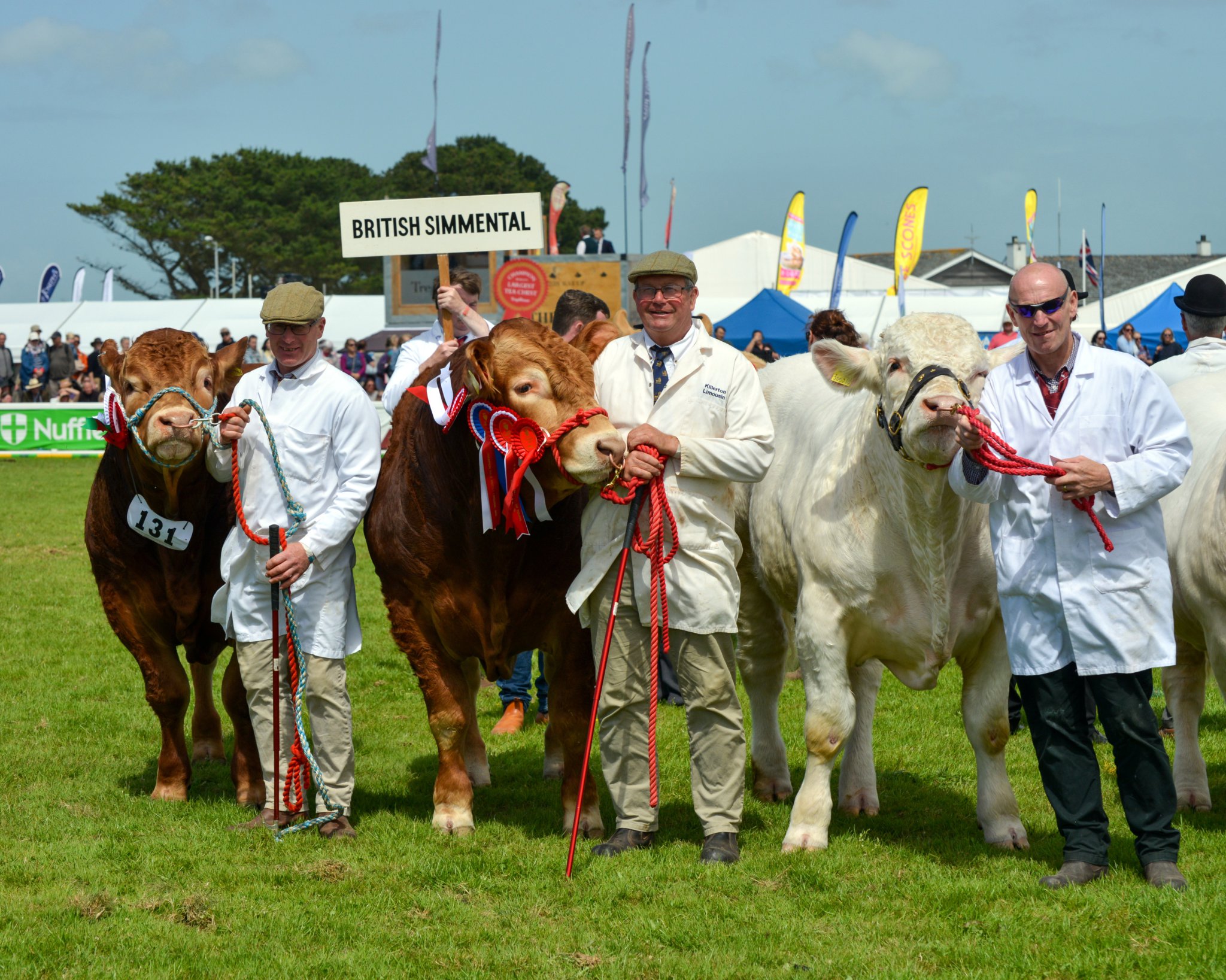The show ground map. Picture: Royal Cornwall Show