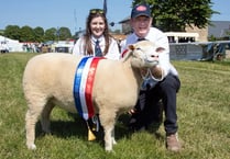 Strong competition at the Royal Bath & West Show
