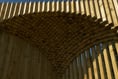 WITH VIDEO: Shelter built in woodland