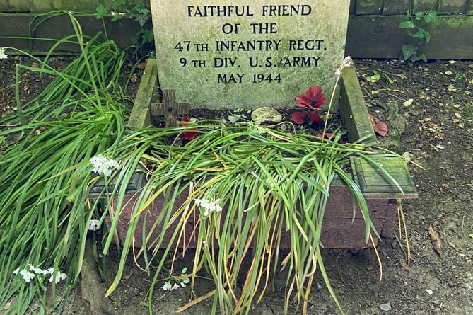 Hambone Jr's grave beside the Arle Valley Trail in Alresford