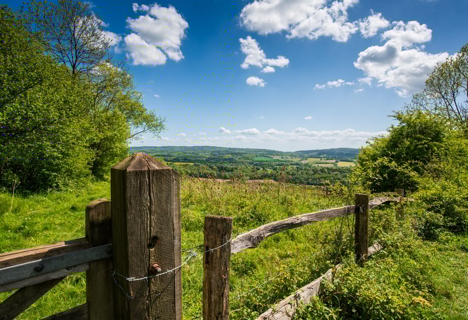 Jeremy Hunt: Join my campaign to make the Surrey Hills a national park