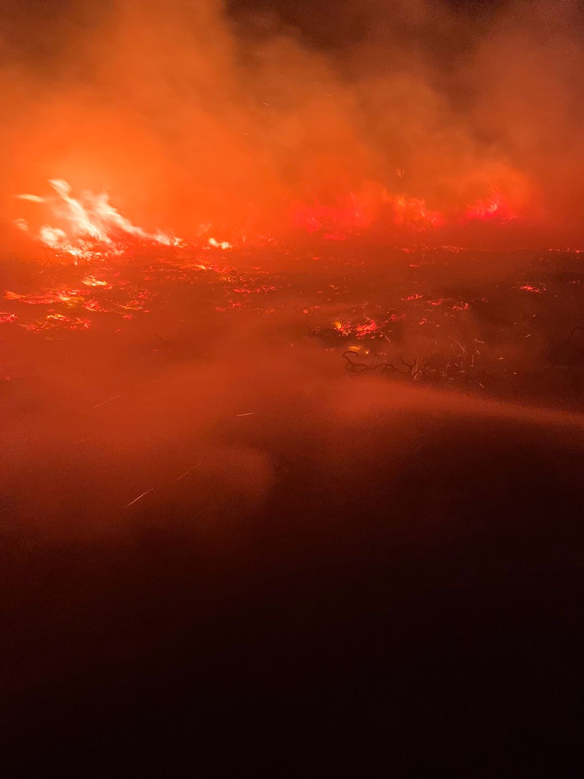 Gorse fire in Cregneash