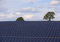 One in 20 Waverley households have solar panels – as installations across UK spike