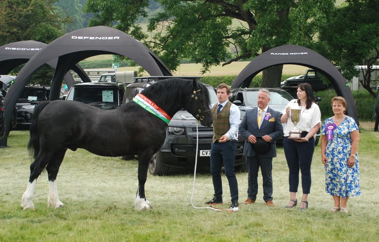 Supreme Champion in the Horse & Pony Section went to the Jones-Evans Family, Trawsfynydd with "Fronarth Kingpin".