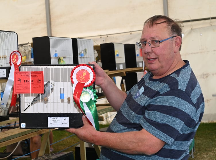 There was plenty of colour in the caged birds’ tent this year, with a flutter of breeds represented. David Whitehead of St Austell with his budgie which won the Intermediate category. He was proud to report his granddaughter had also won ‘Best Junior Breeder’. He said: “It is the first time she has shown and I am very proud.”