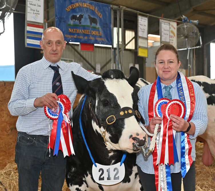 JULIE Brooks and Nigel Jenkinson from Shebbear are pictured here with their prize winning British Blue,
Dymond Blue Rousin. Julie was showing the cattle on behalf of Candy and Nigel, the owners. Julie explain: “It’s
great to win at a local show with a young team.”