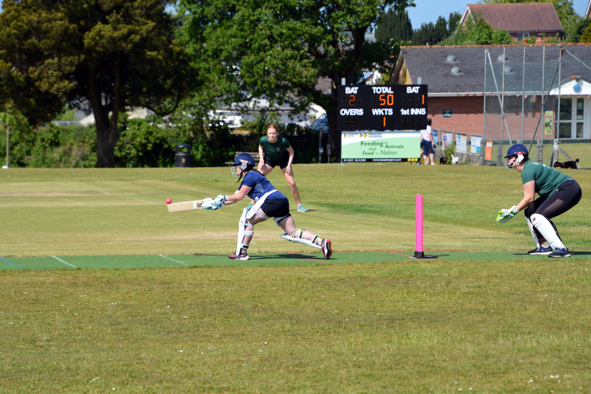 Pictures from the Festival of Cricket kindly supplied by Rodney Parrish