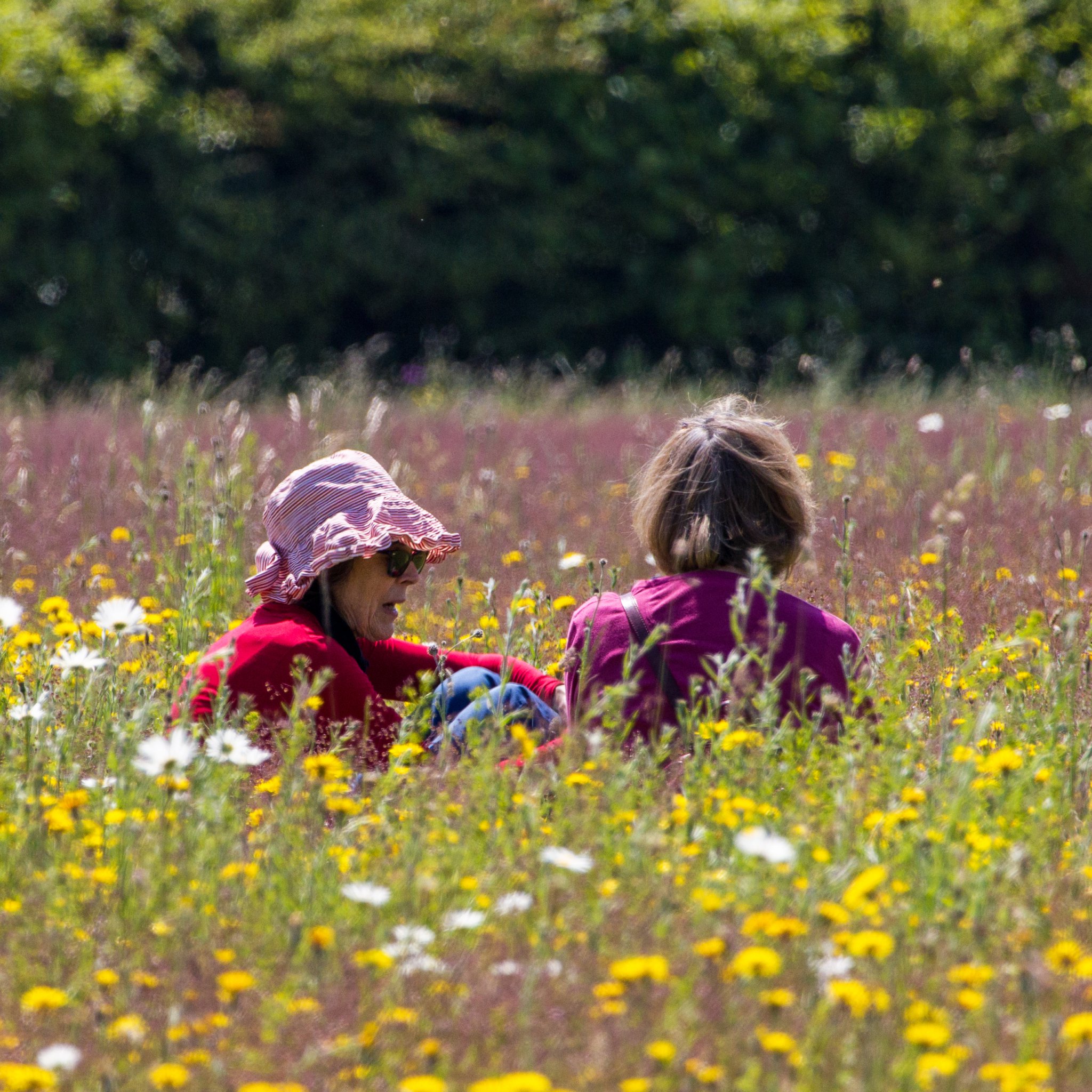 Members in the flowers at the Hawk Conservancy.