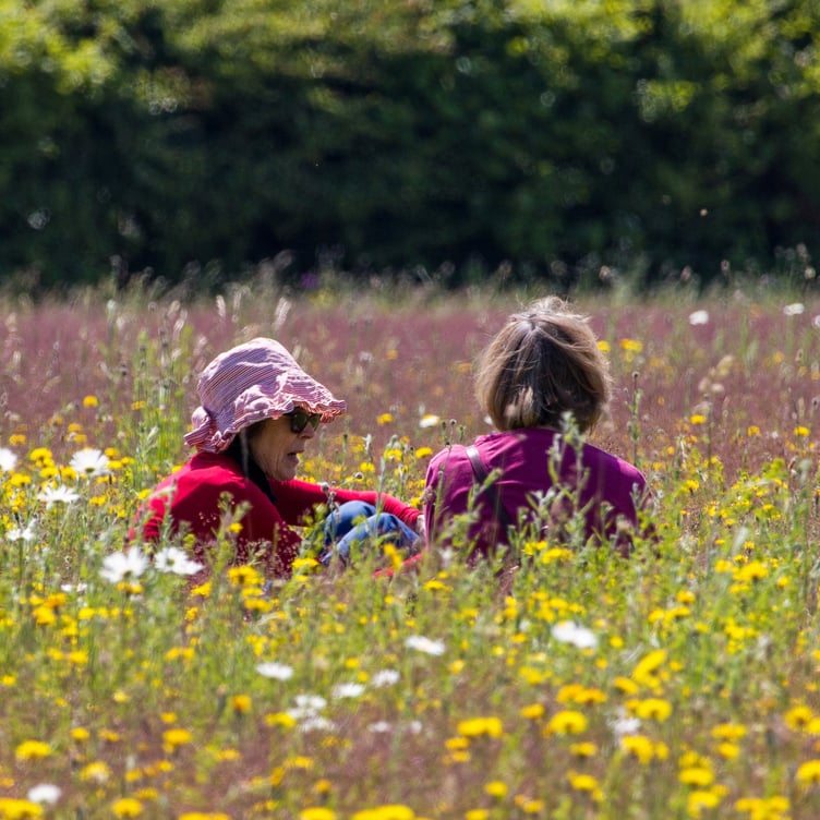 Members in the flowers at the Hawk Conservancy.