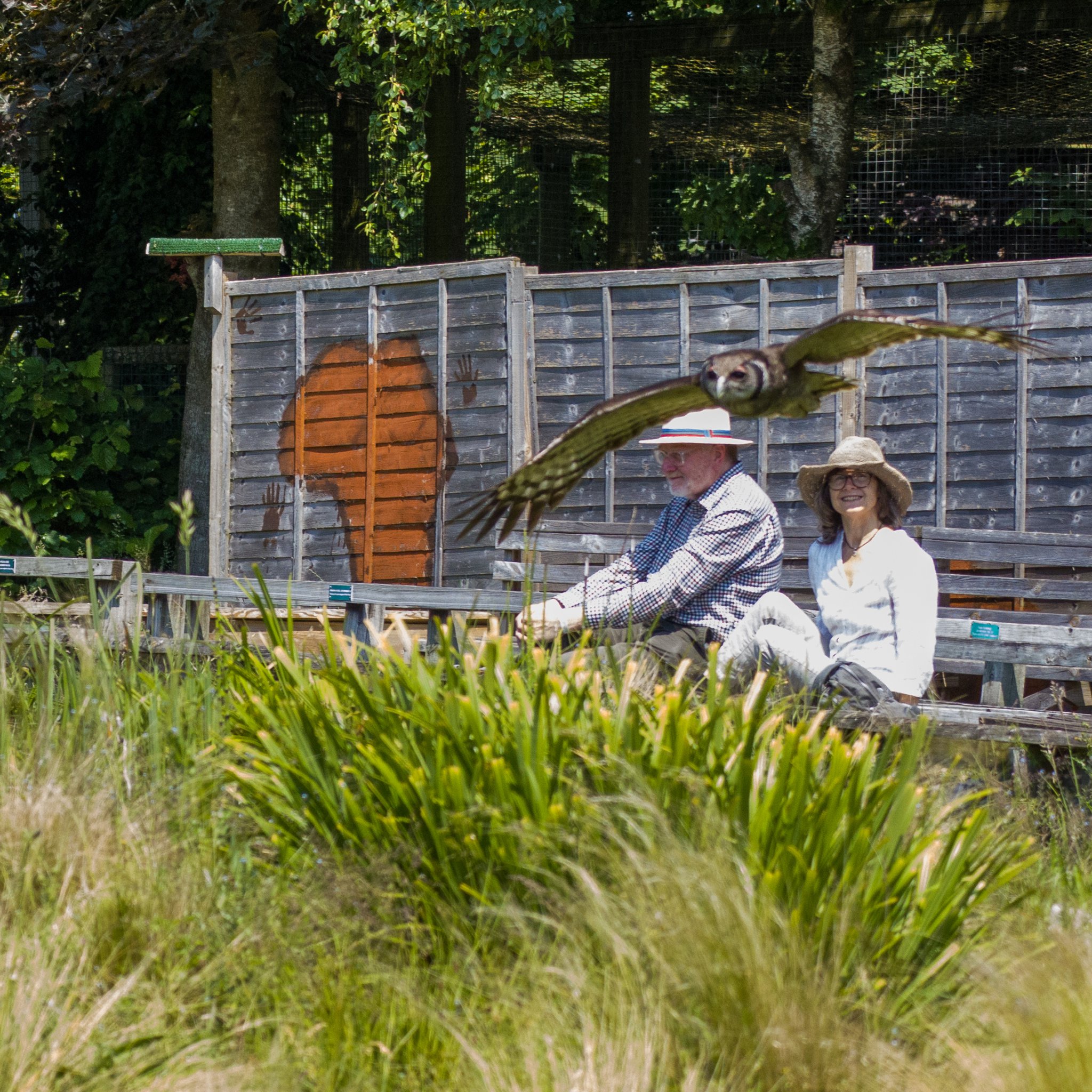 Members in the flowers at the Hawk Conservancy.
