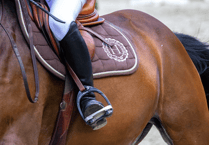 Horses or houses: concerns over future of Rowledge equestrian centre